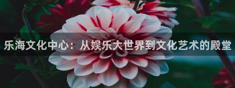 琳琅娱乐注册