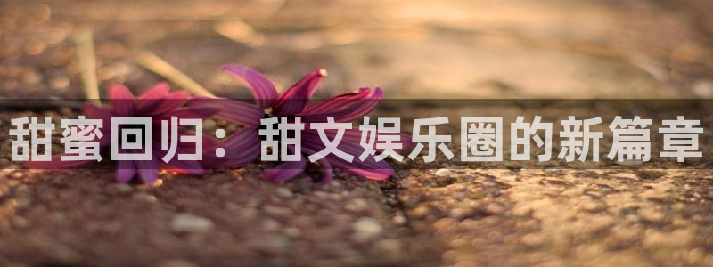 琳琅娱乐