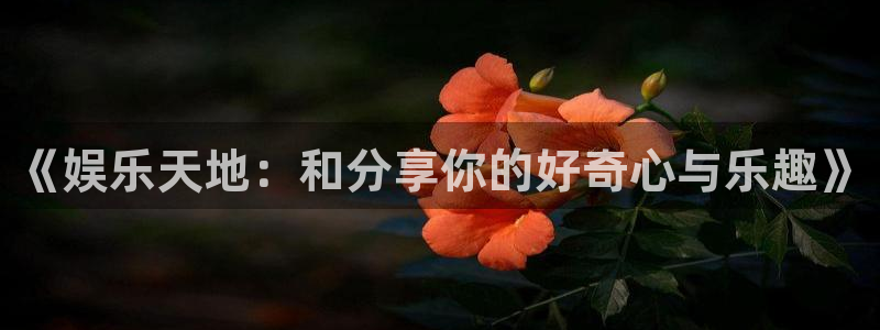 琳琅娱乐注册