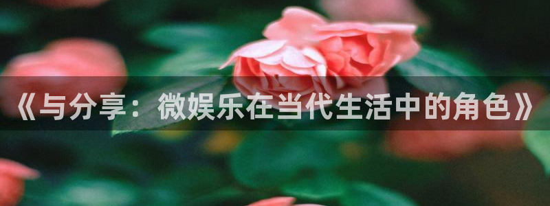 琳琅娱乐