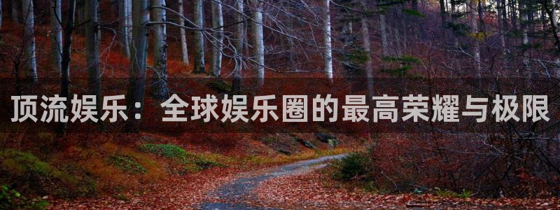琳琅娱乐